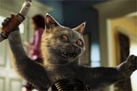 Kutyák És Macskák