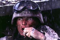 A Sólyom Végveszélyben