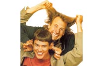Dumb És Dumber, Dilibogyók