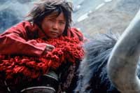 Himalája - Az Élet Sója