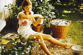 Lolita