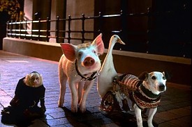 Babe - Kismalac A Nagyvárosban