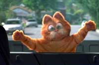 Garfield