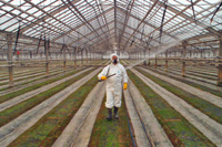 Mindennapi Kenyerünk