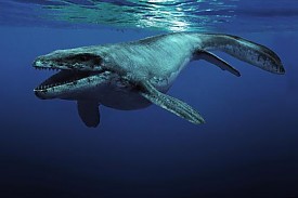 Őshüllők 3D - Tengerek Dinoszauruszai