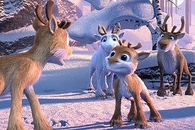 Niko, Kistesó Nagy Bajban