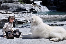 Belle és Sébastien